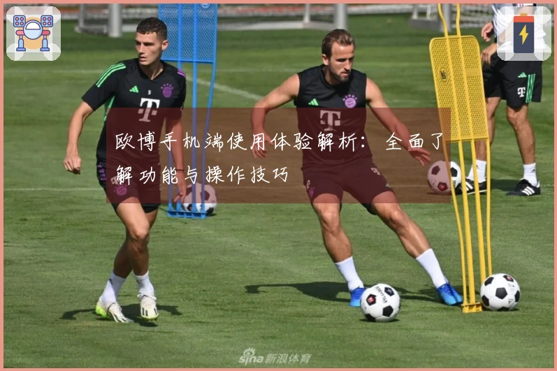 欧博手机端使用体验解析：全面了解功能与操作技巧