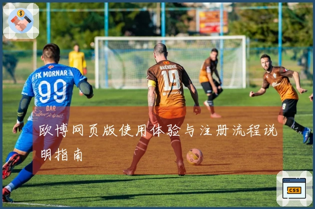 欧博网页版使用体验与注册流程说明指南
